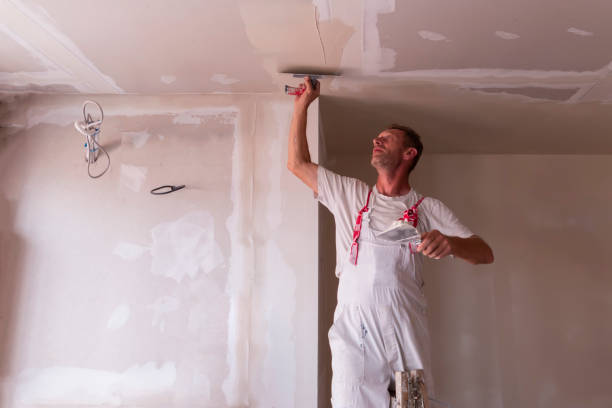 Best Drywall Texturing  in Litchfield, IL